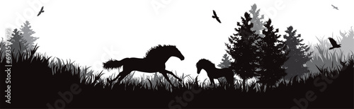 Vector silhouette of horse running in park. Symbol of nature and horse riding.