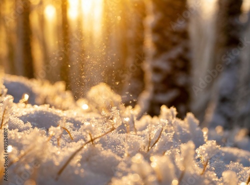 Snowy forest wallpaper. Winter holiday background. © D'Arcangelo Stock