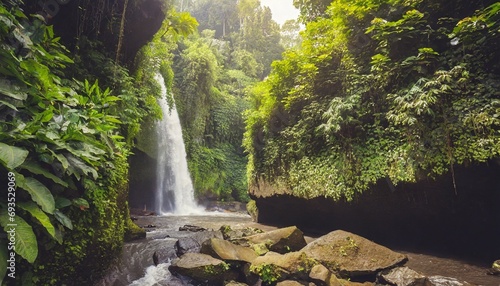 gorge with rocky vaults covered with lush foliage plants nearby beautiful bali waterfall sekumpul in tropical forest on bali indonesia