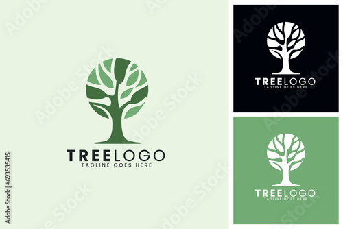 Elegant Tree Logo Design with Branches