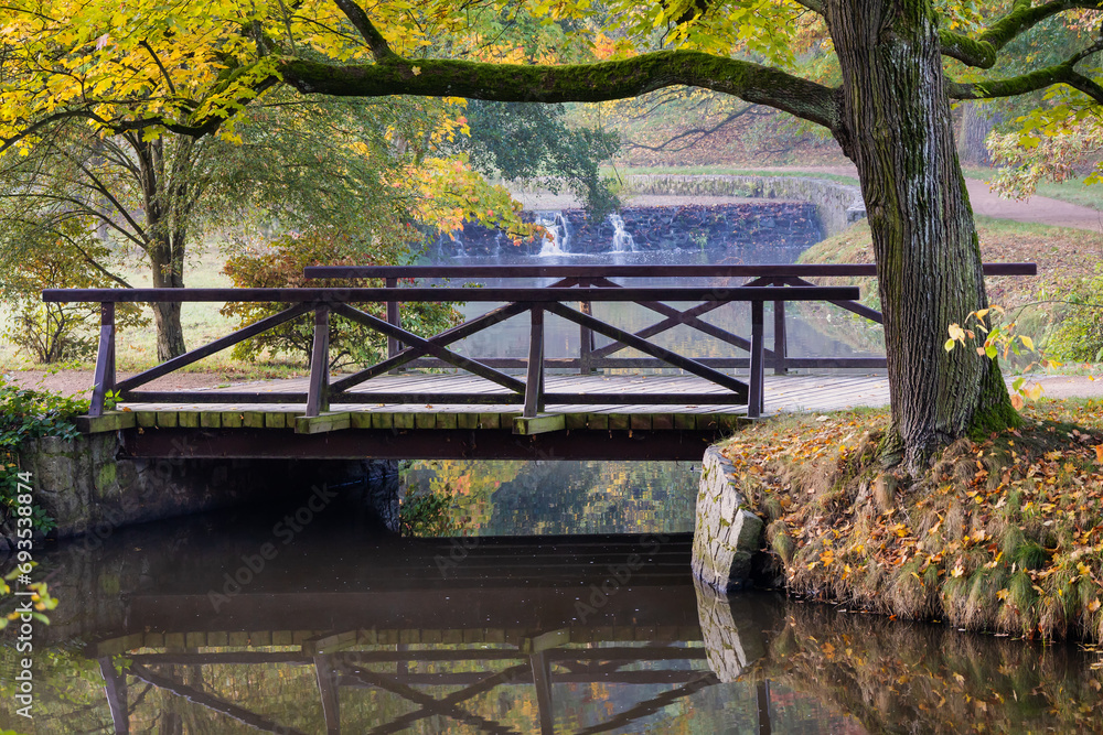 Park wooden bridge colorful autumn