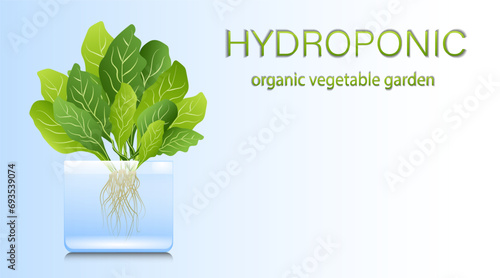 Portable hydroponic aeroponic system for eco-friendly growing of green lettuce, vegetables and herbs. organic vegetable garden