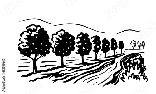 Apple garden landscape sketch illustration