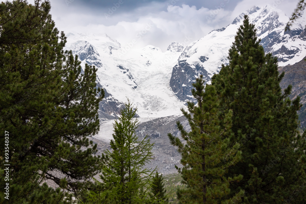 Mountain landscape, snow peaks and forest
