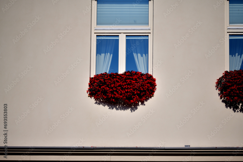 Pink house wall with red decorative flowers in the window