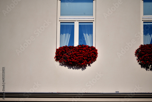 Obraz na płótnie Pink house wall with red decorative flowers in the window w salonie