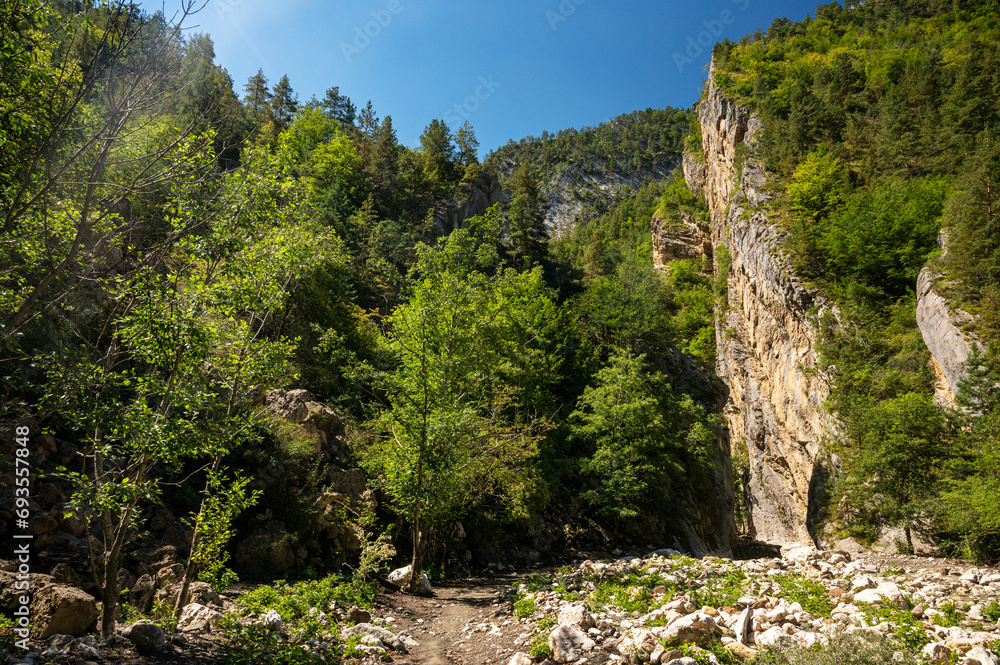 Beautiful landscape of a rocky mountain with a clear blue sky on a summer sunny day. The mountain is covered with green trees and bushes and a dry stream.