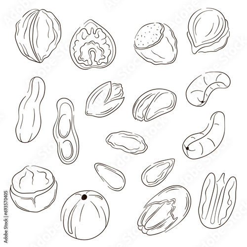 Nuts icons in flat, line art style. Hand drawn logo of hazelnut, pistachio, almond, cashew, macadamia, walnut, peanut, pecan. Vector illustration isolated on a white background.