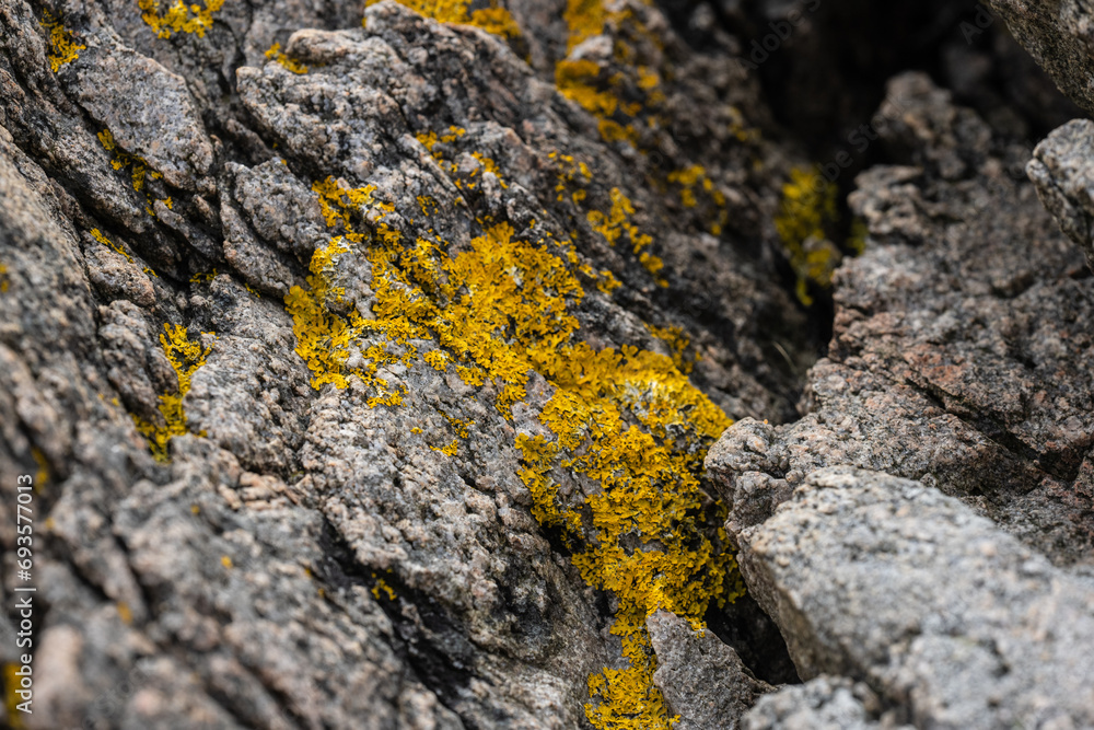 Crustose lichen on cliffside stone. Crustose lichen on cliffside stone.