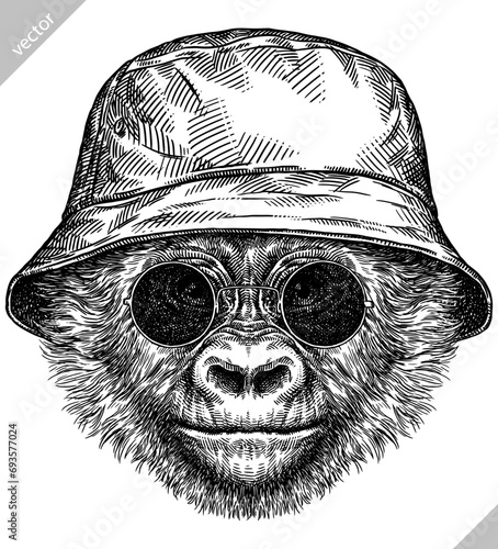 Vintage engraving isolated gorilla set glasses dressed fashion illustration ape ink sketch. Monkey kong background primate silhouette sunglasses hipster hat art. Black and white drawn vector image