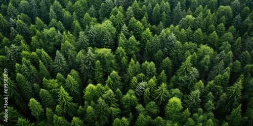Aerial view of a dense green forest for environmental themes
