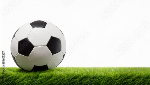 Soccer ball green grass floor and white background  text space 