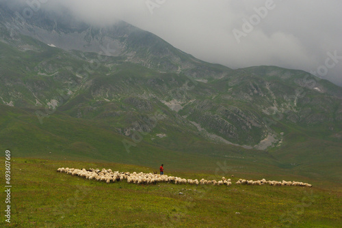 A shepherd grazes a flock of sheep on the plateau