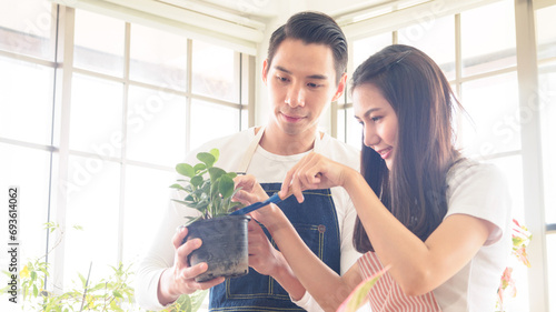 Portrait gardener young Asian man woman two person sit and standing smiling looking hand holding help decorate tree leaf green in calm work shop home plant white wall. hobby job happy and care concept