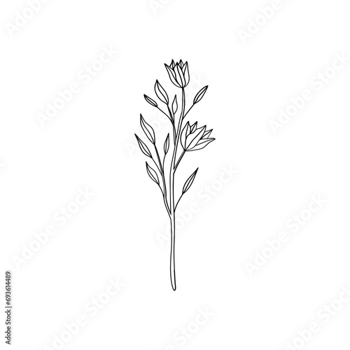 Botanical linear flower art. Minimalist elegant drawing, small floral element, fine line tattoo sketch. Vector design