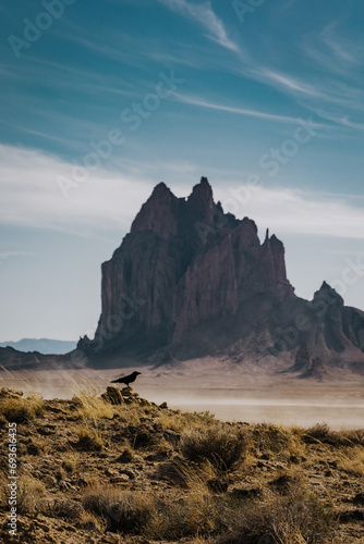 Black Crow Bird on a rock near Shiprock Monument in New Mexico photo