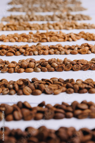 Set Roasting of coffee beans showing from green through to brown italian roast on white isolated background