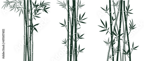Set of bamboo silhouettes on white background. Bamboo Japanese drawing style. Stems  branches and leaves of bamboo. Vector illustration.