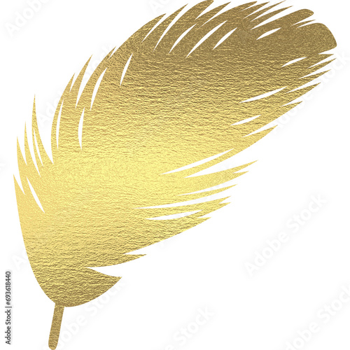 Feder mit goldener Textur transparenter Hintergrund 
