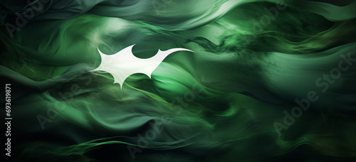 photo flag of pakistan photo