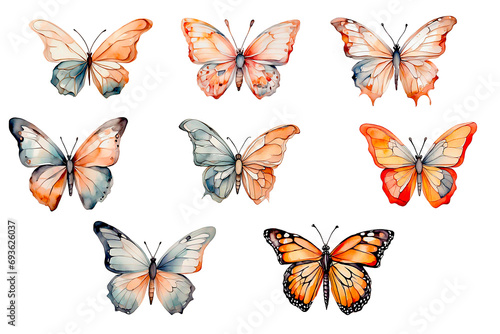 Beautiful monarch butterfly isolated. Watercolor colorful butterflies, isolated butterfly on white background. Colorful butterfly, spring illustration. © Mag