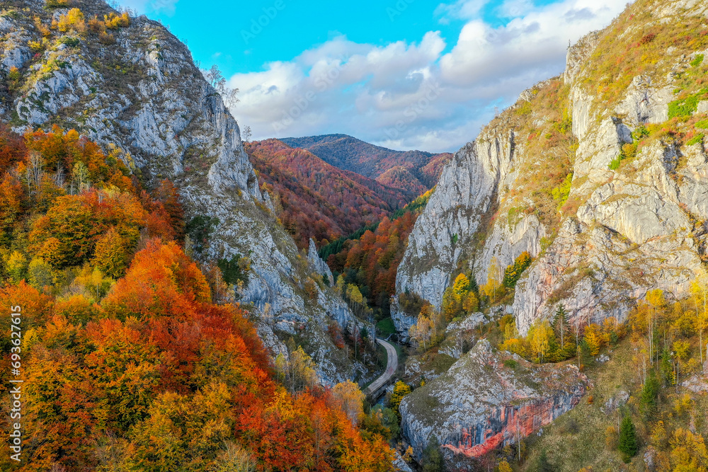 The Taii Gorges in the Sureanu Mountains, Romania. The Taii Gorges (with steep white or gray limestone slopes) have a special landscape value.