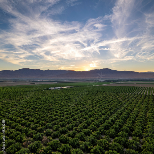 Aerial view of California farm at sunset with dramatic sky over the fields and mountains