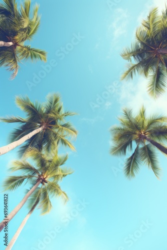 Blue sky and palm trees