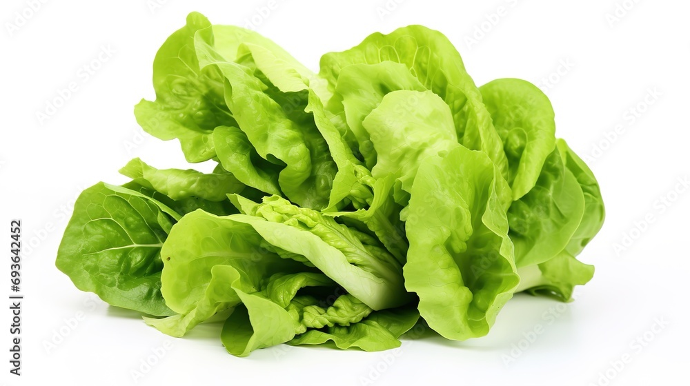 Fresh head of lettuce, full of green, crisp leaves, ideal for salads and healthy meals, isolated on a white background Fresh head of lettuce, full of green, crisp leaves, ideal for salads and healthy meals, isolated on a white background