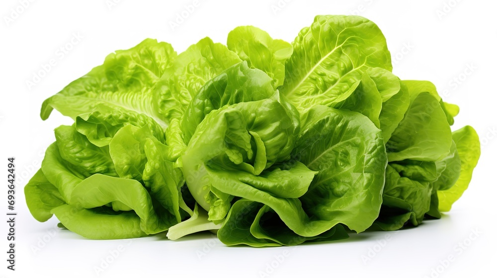 Fresh head of lettuce, full of green, crisp leaves, ideal for salads and healthy meals, isolated on a white background Fresh head of lettuce, full of green, crisp leaves, ideal for salads and healthy meals, isolated on a white background