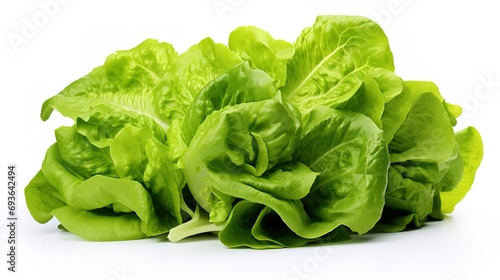 Fresh head of lettuce, full of green, crisp leaves, ideal for salads and healthy meals, isolated on a white background