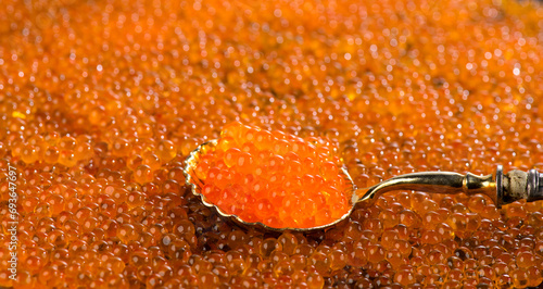 Red Caviar in a spoon. Caviar background. Fish roe, Close-up salmon or trout caviar. Delicatessen. Gourmet food. Texture of caviar. Seafood 