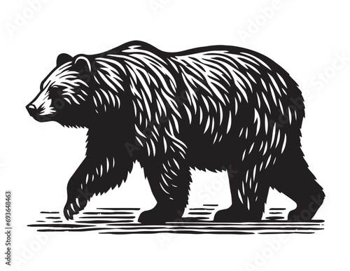 Bear Silhouette Vector
