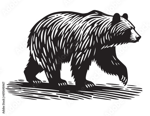 Bear Silhouette Vector