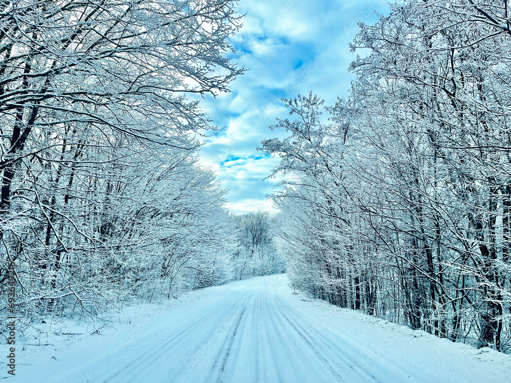 Obraz premium snow covered road,winter,2024