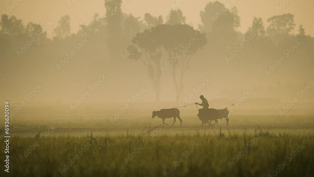 The beauty of a foggy winter morning as nature weaves its magic, revealing the serene coexistence of villagers and the landscape. Cowboy herding cows, harmonious rural life The beauty of a foggy winter morning as nature weaves its magic, revealing the serene coexistence of villagers and the landscape. Cowboy herding cows, harmonious rural life