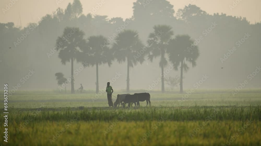 The beauty of a foggy winter morning as nature weaves its magic, revealing the serene coexistence of villagers and the landscape. Cowboy herding cows, harmonious rural life The beauty of a foggy winter morning as nature weaves its magic, revealing the serene coexistence of villagers and the landscape. Cowboy herding cows, harmonious rural life
