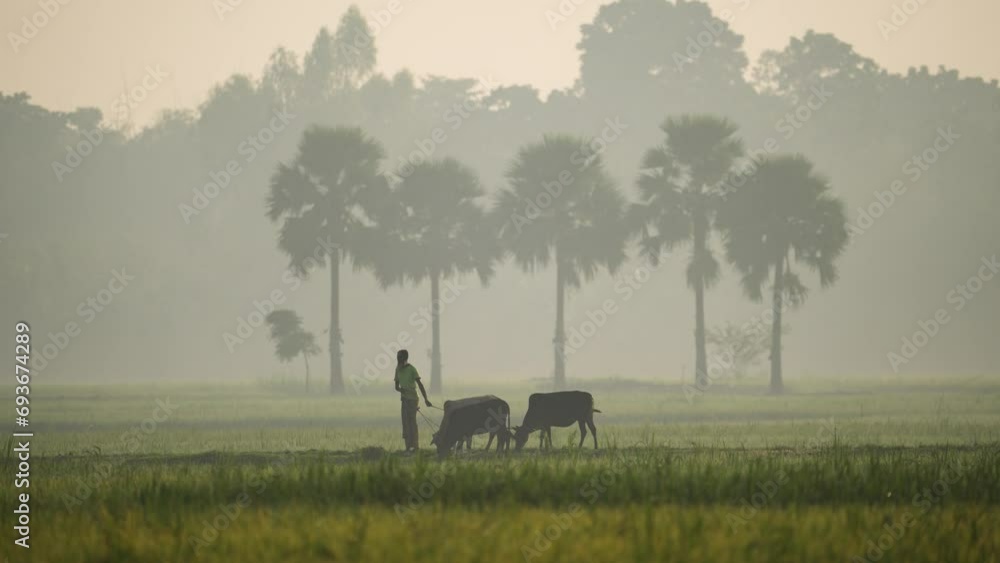 The beauty of a foggy winter morning as nature weaves its magic, revealing the serene coexistence of villagers and the landscape. Cowboy herding cows, harmonious rural life The beauty of a foggy winter morning as nature weaves its magic, revealing the serene coexistence of villagers and the landscape. Cowboy herding cows, harmonious rural life