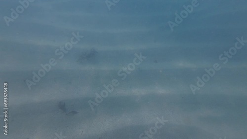 View of ocean sand floor underwater. photo
