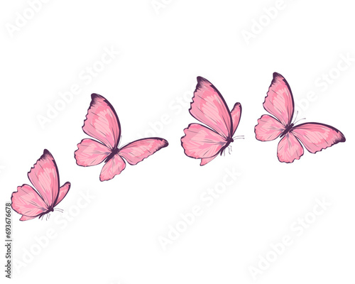Canvas Print pink butterfly on white background
