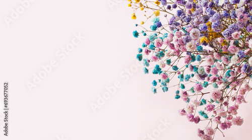 Multicolored sprigs of gypsophila elegans flowers in one bunch on a monochrome soft pink background. Dreamy look image. No people. Studio shot. Copy space