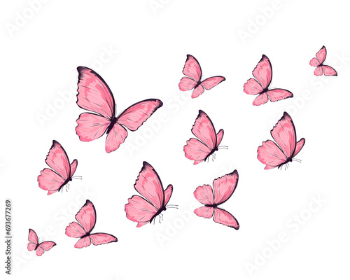set of butterflies pink butterflies