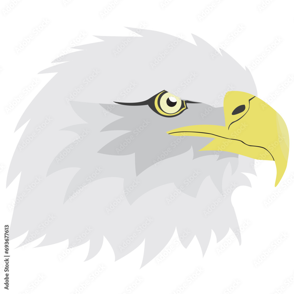 Fototapeta premium the head of an eagle with sharp eyes staring at its prey