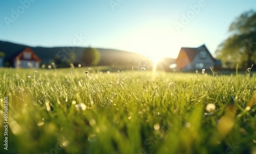 green grass in the field with a house in the background