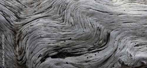 Patterns of old driftwood tree trunk