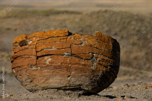 Concretion from Red Rock Coulee, Alberta  photo