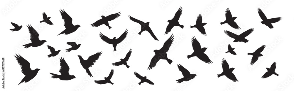 Flying birds silhouettes on isolated background. Vector illustration Flying birds silhouettes on isolated background. Vector illustration