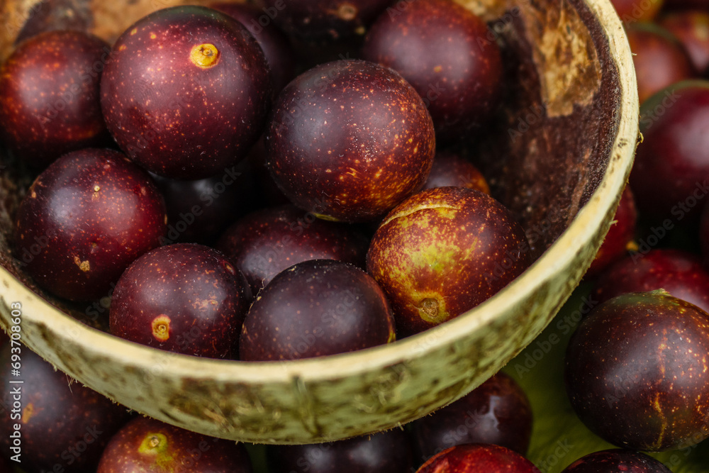camu camu fruits, Myrciaria dubia, exotic fruit from the Amazon that grows on the banks of rivers, it is highly appreciated for its flavor, it is considered the fruit with the most vitamin C camu camu fruits, Myrciaria dubia, exotic fruit from the Amazon that grows on the banks of rivers, it is highly appreciated for its flavor, it is considered the fruit with the most vitamin C