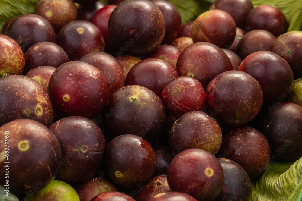 Fototapeta premium camu camu fruits, Myrciaria dubia, exotic fruit from the Amazon that grows on the banks of rivers, it is highly appreciated for its flavor, it is considered the fruit with the most vitamin C