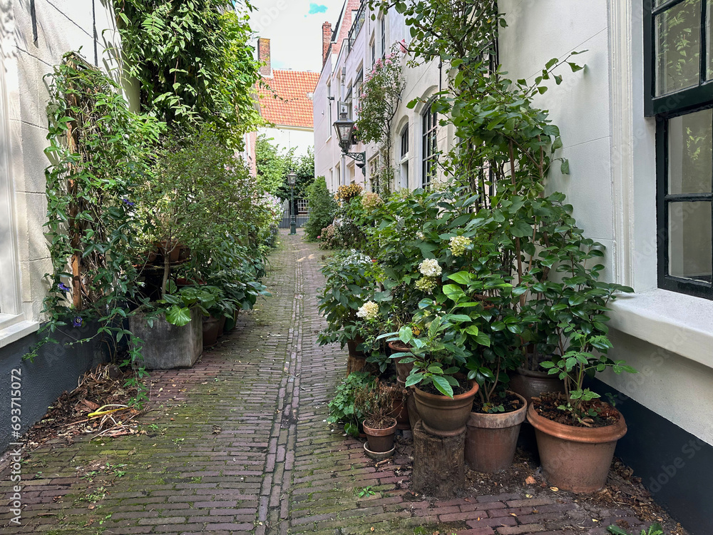View of city street with many beautiful green plants
